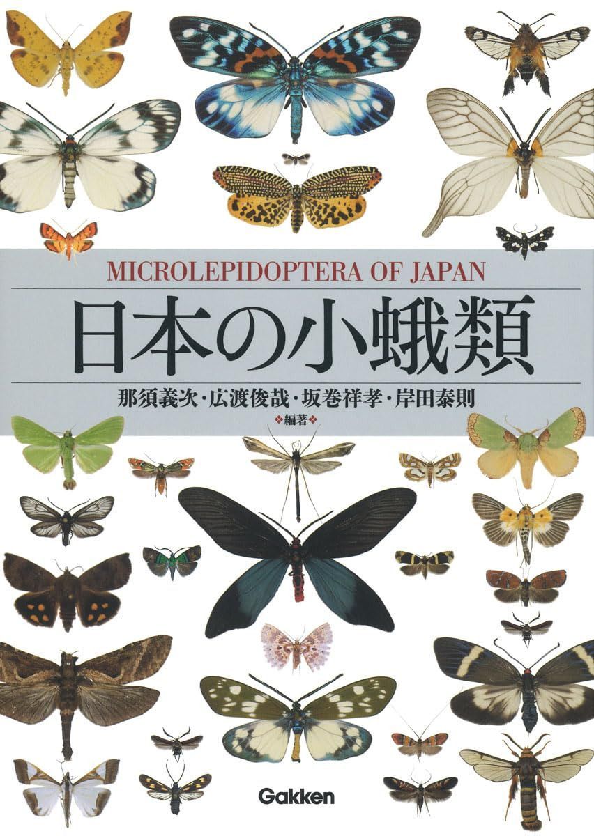 日本の小蛾類 23,417円