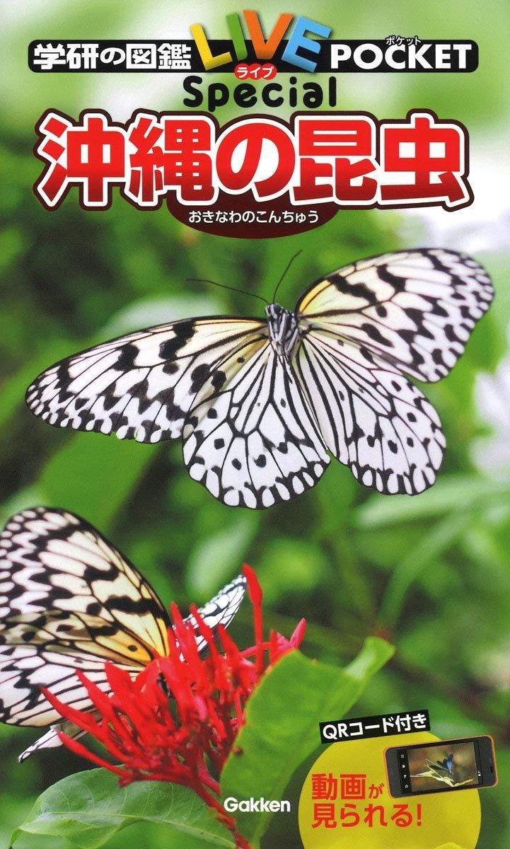 沖縄の昆虫 (学研の図鑑LIVEポケット スペシャル)