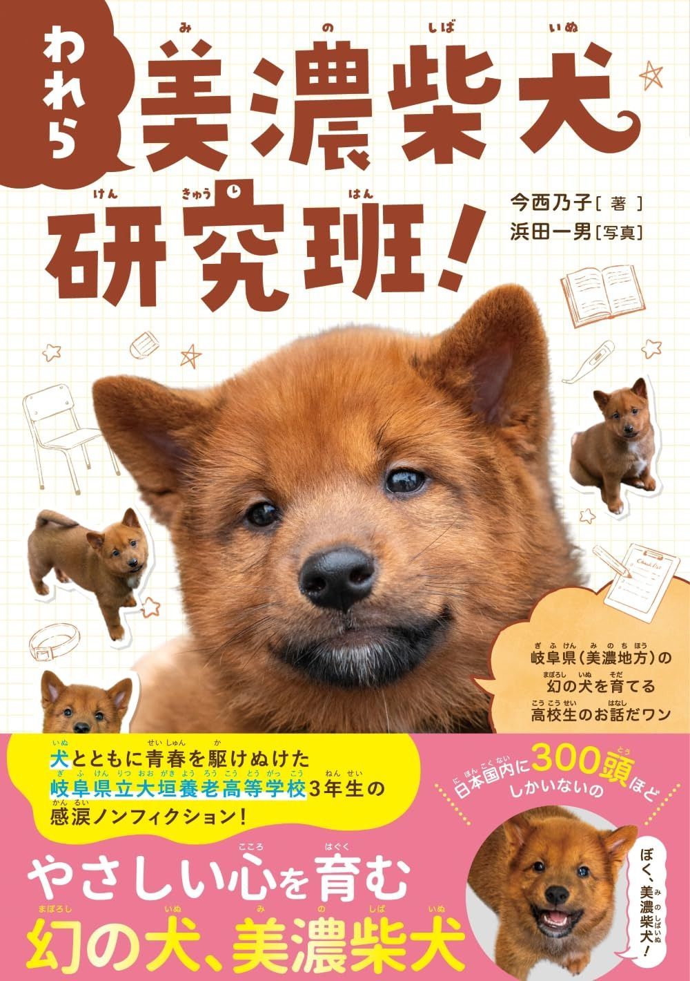 われら 美濃柴犬研究班!ぼくらの学校で命をつなぐ