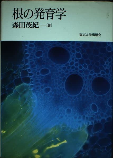 根の発育学