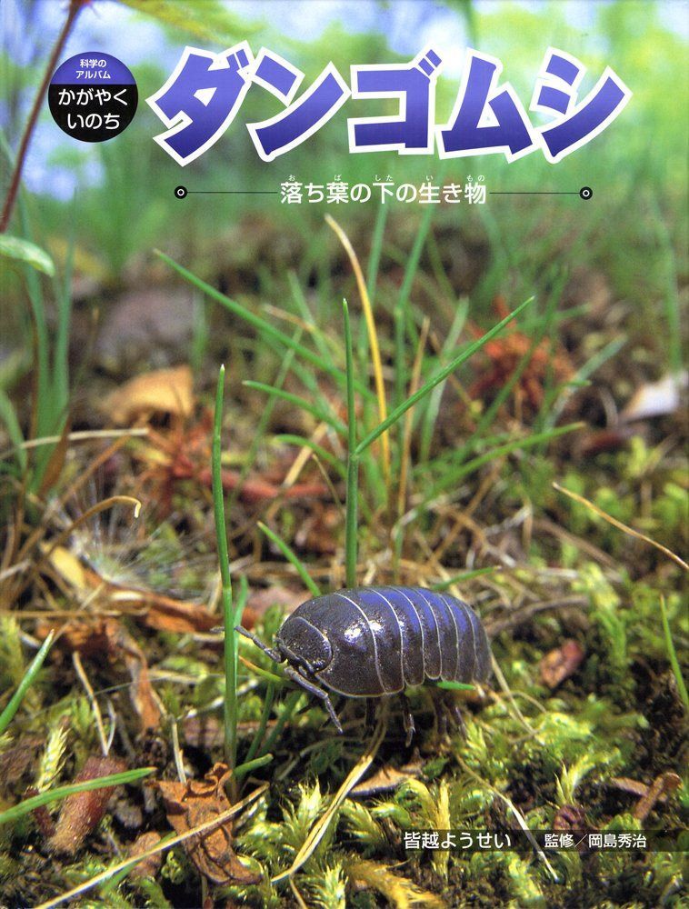 ダンゴムシ: 落ち葉の下の生き物 (科学のアルバム・かがやくいのち 2)