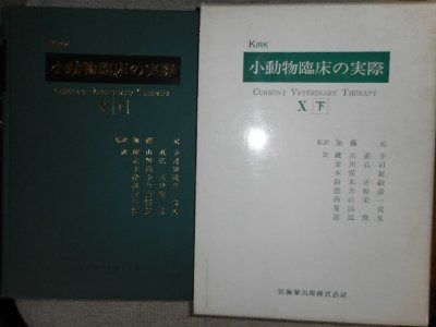 小動物臨床の実際　１０　下
