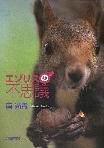 エゾリスの不思議