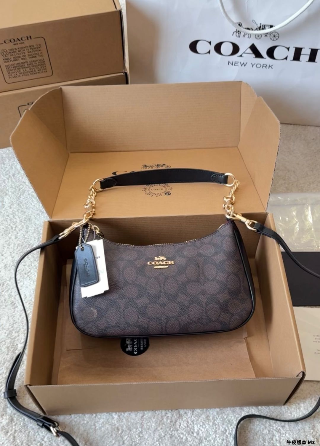 【今日特価】COACH Teri シリーズ アンダーアームバッグ 24×13cm サザエスキンプレス-WTO輸入1