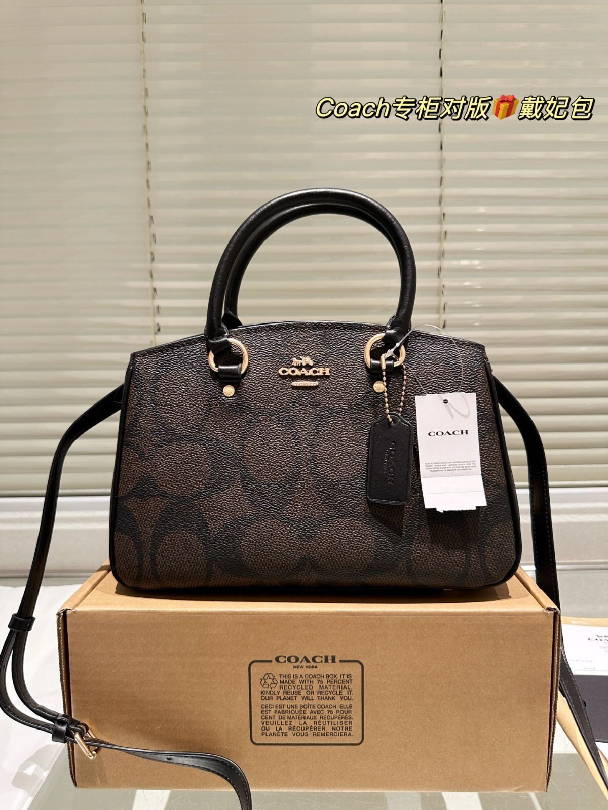 【今日特価】Coach New Lady Dior Bag コーチ ニュー レディー ディオール バッグ
