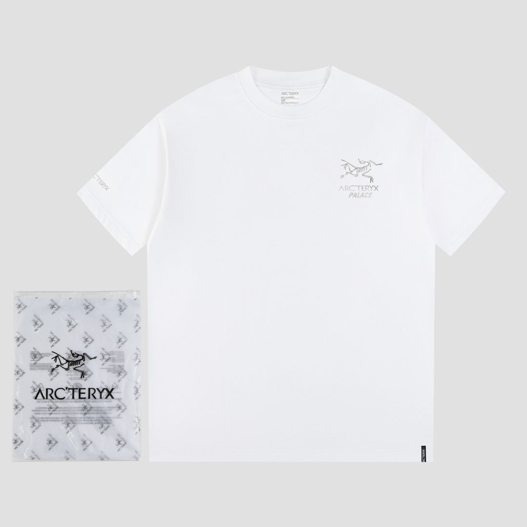 【本日限定特価】Ayc Teryx × PALACE コラボ メタリックシルバープリントTシャツ [本日特価|新品未使用品]-WT0輸入