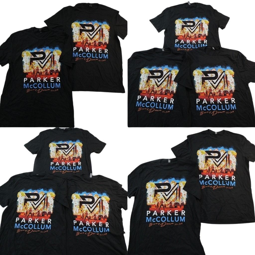 古着卸 まとめ売り Tシャツ トップス 【同種】10枚セット ( メンズ L