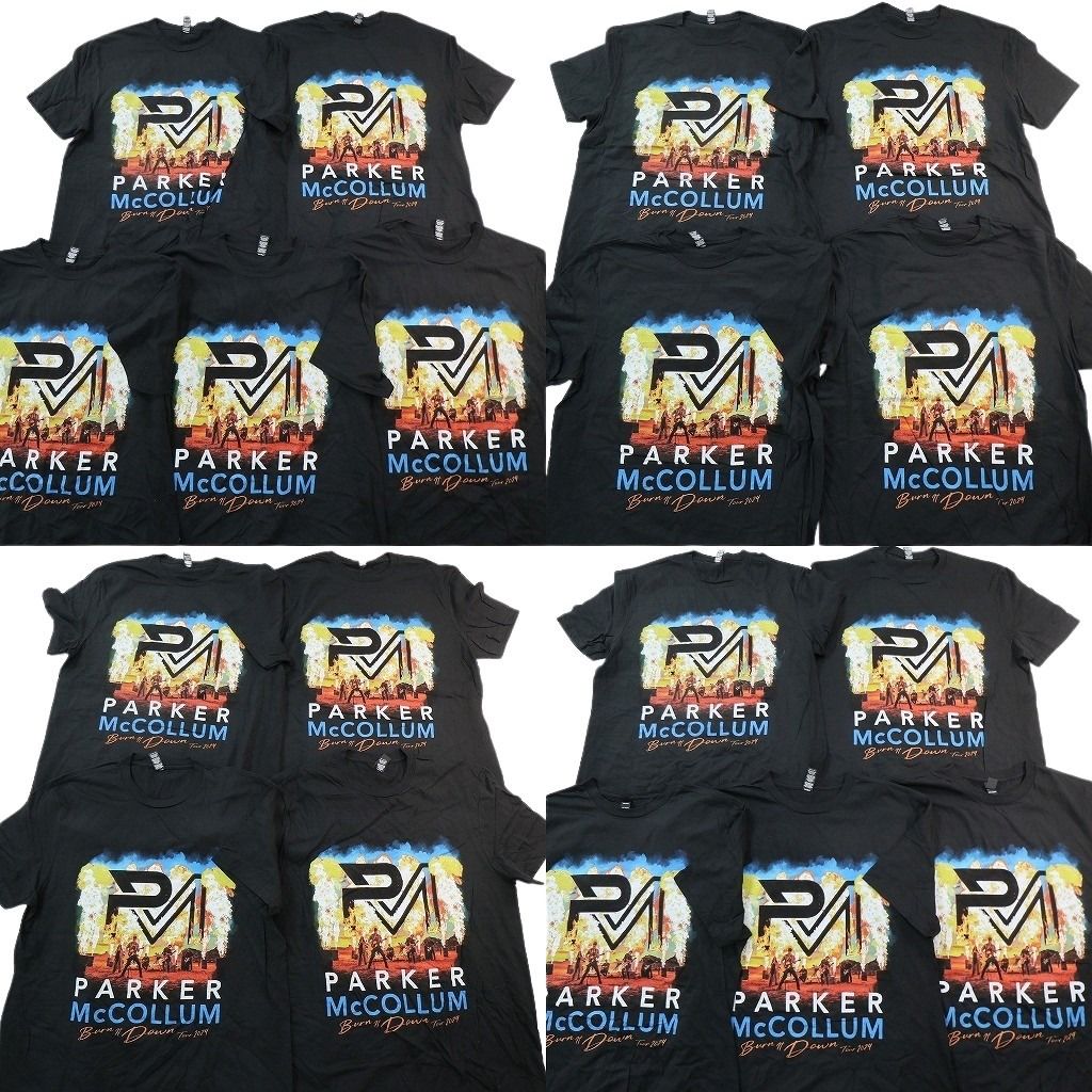 BABYL パーカー Tシャツ 中古 グッズ 古着 古着卸 まとめ売り Tシャツ トップス 【同種】18枚セット ( メンズ L