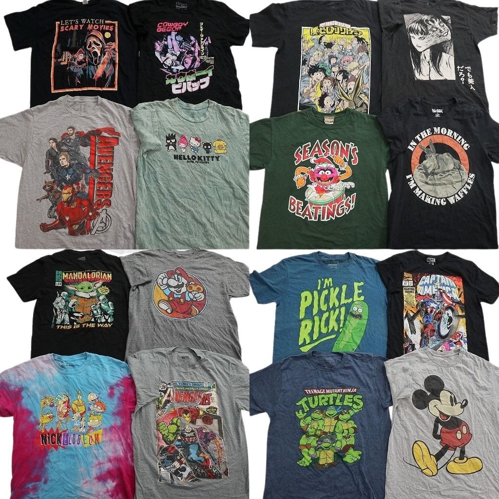 古着卸 まとめ売り キャラクター Tシャツ 16枚セット ( メンズ M