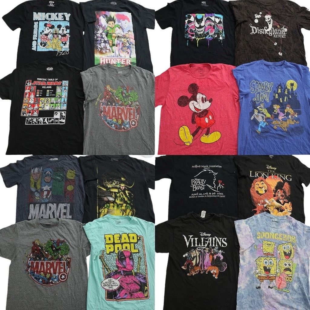 古着卸 まとめ売り キャラクター Tシャツ 16枚セット ( メンズ M