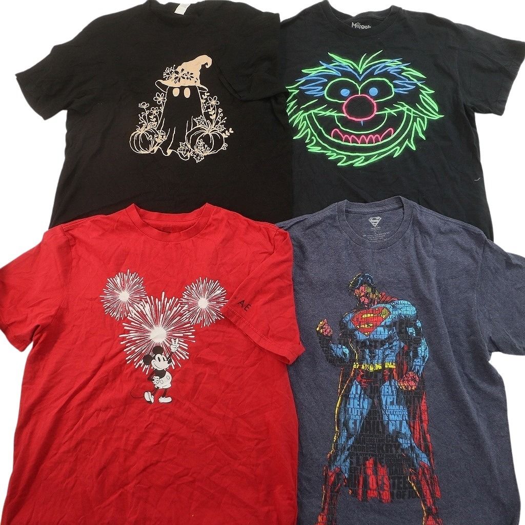 古着卸 まとめ売り キャラクター Tシャツ 16枚セット ( メンズ L