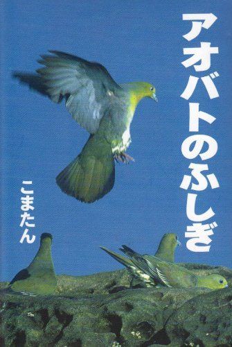 アオバトのふしぎ