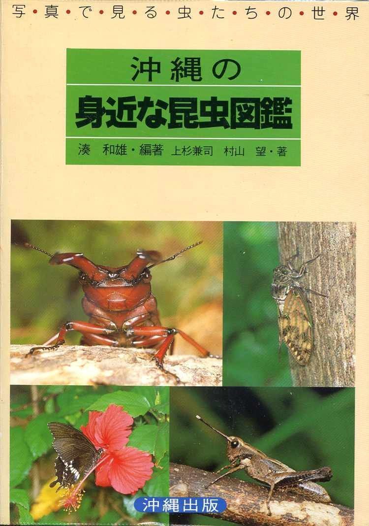 沖縄の身近な昆虫図鑑: 写真で見る虫たちの世界