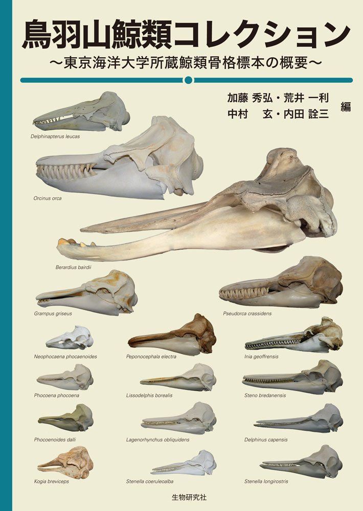 鳥羽山鯨類コレクション?東京海洋大学所蔵鯨類骨格標本の概要?