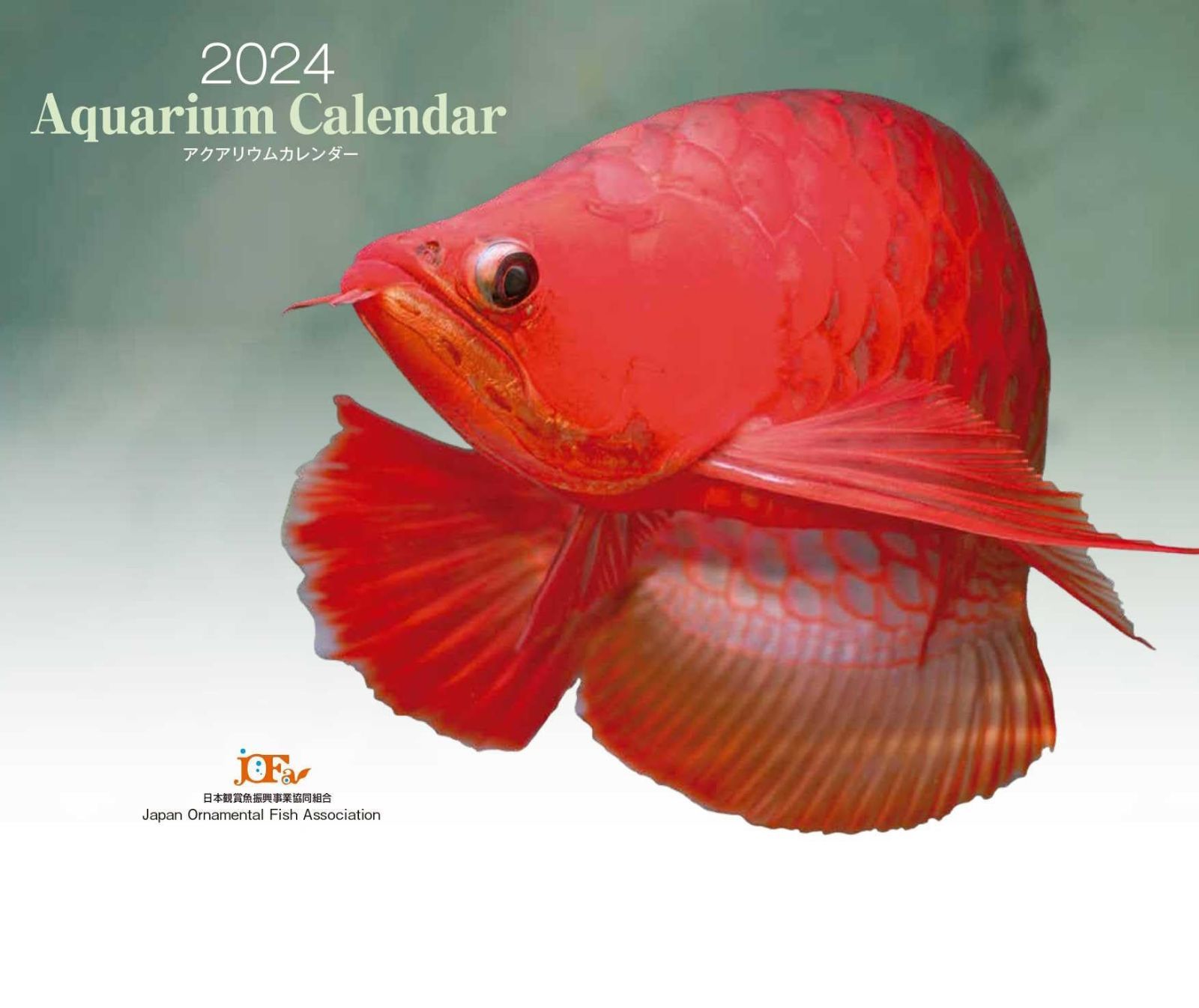 Aquarium Calendar アクアリウムカレンダー 2024（月めくり・壁掛け） ([カレンダー])