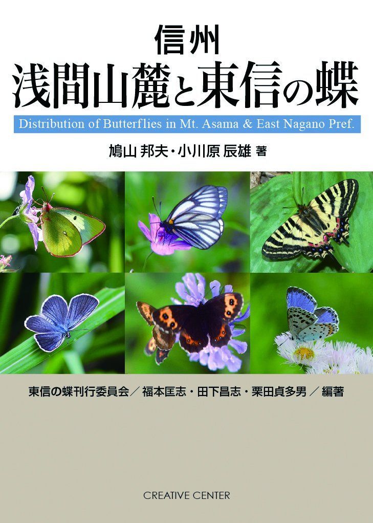 信州 浅間山麓と東信の蝶