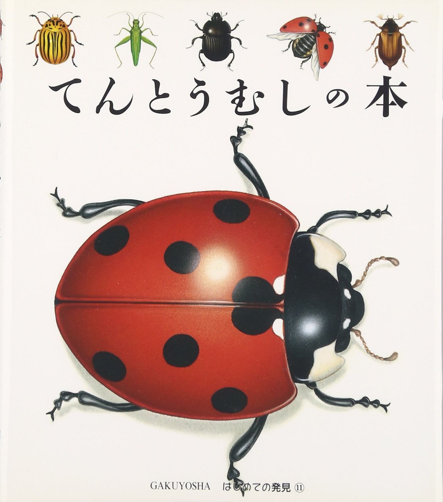 てんとうむしの本 (はじめての発見 11)