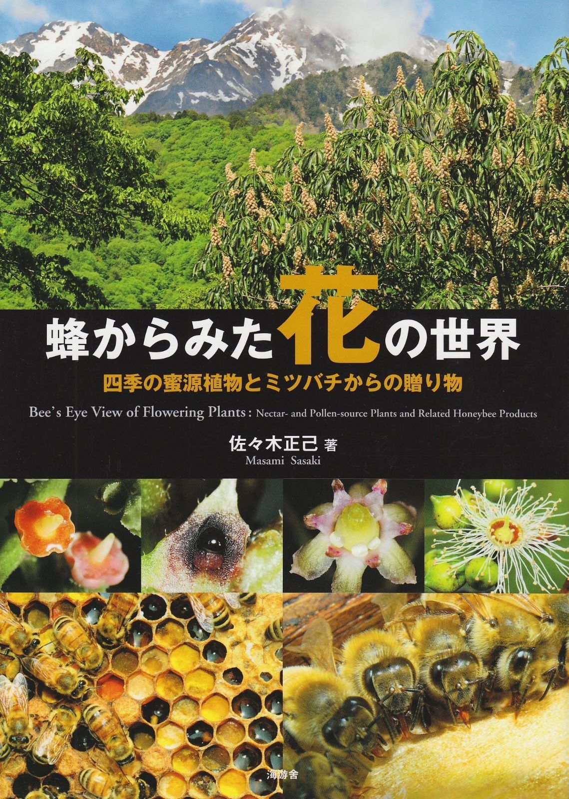蜂からみた花の世界: 四季の蜜源植物とミツバチからの贈り物