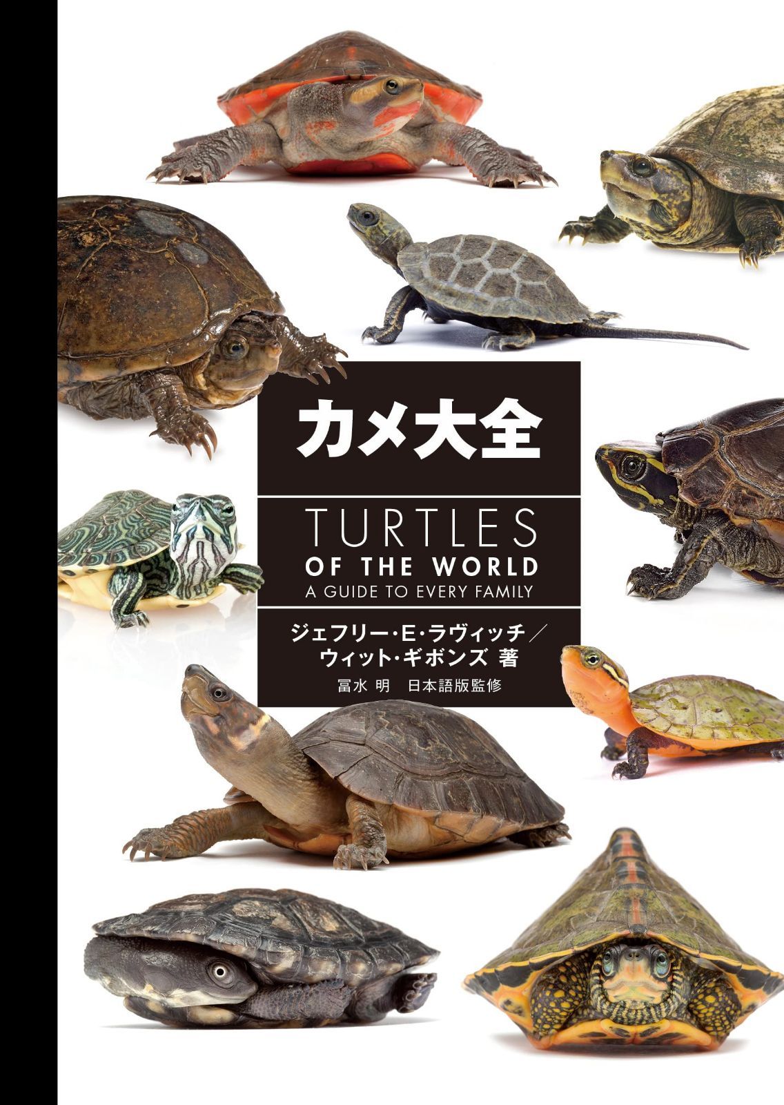 カメ大全 11,881円