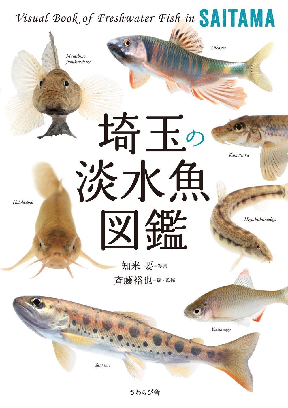 埼玉の淡水魚図鑑