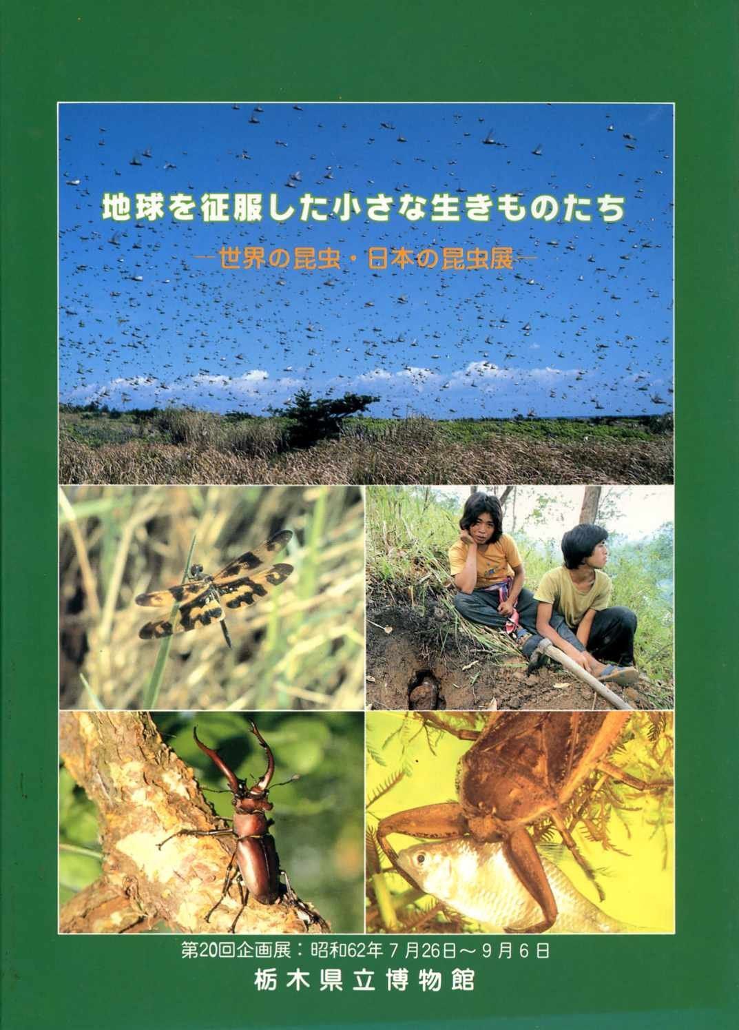 地球を征服した小さな生きものたち―世界の昆虫・日本の昆虫展