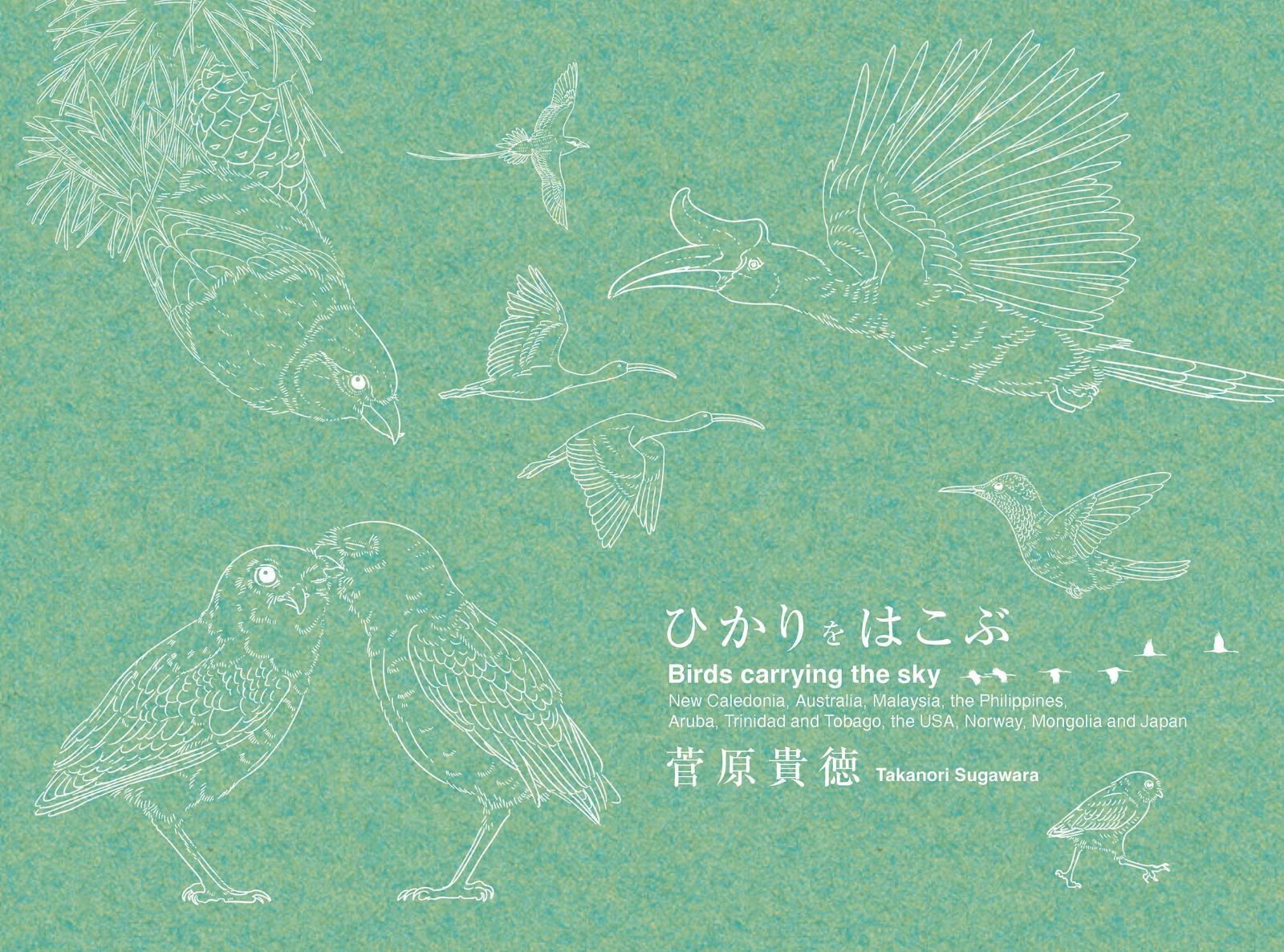 ひかりをはこぶ Birds carrying the sky
