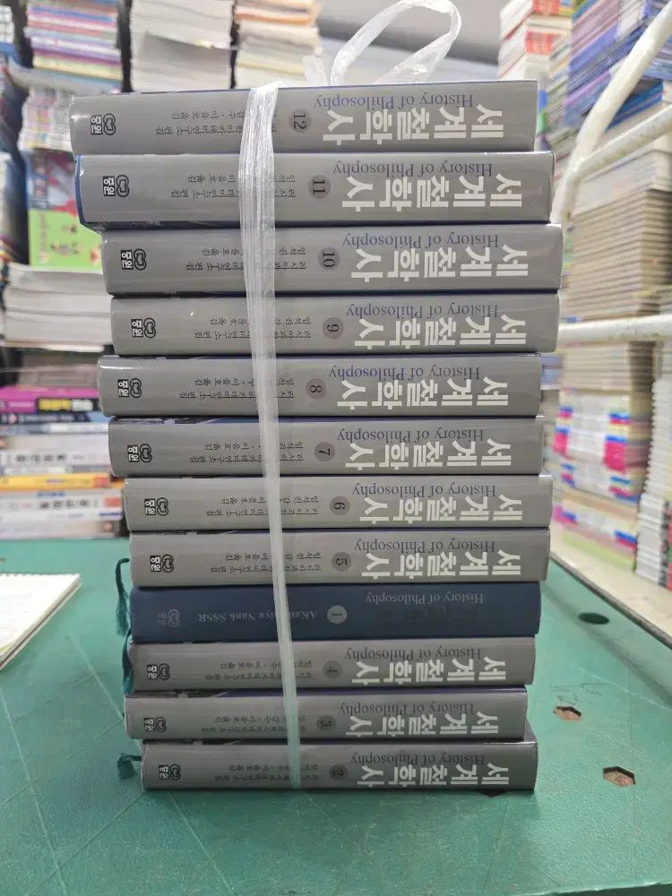世界哲学史 中原 12巻 セット 東西洋哲学 中古本