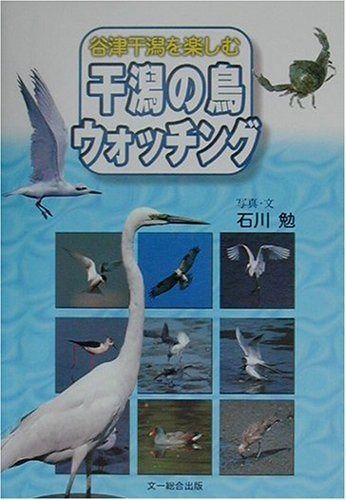 干潟の鳥ウォッチング: 谷津干潟を楽しむ