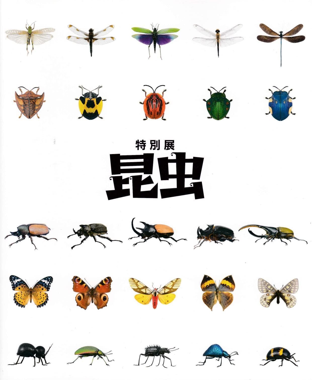 特別展　昆虫　[図録]
