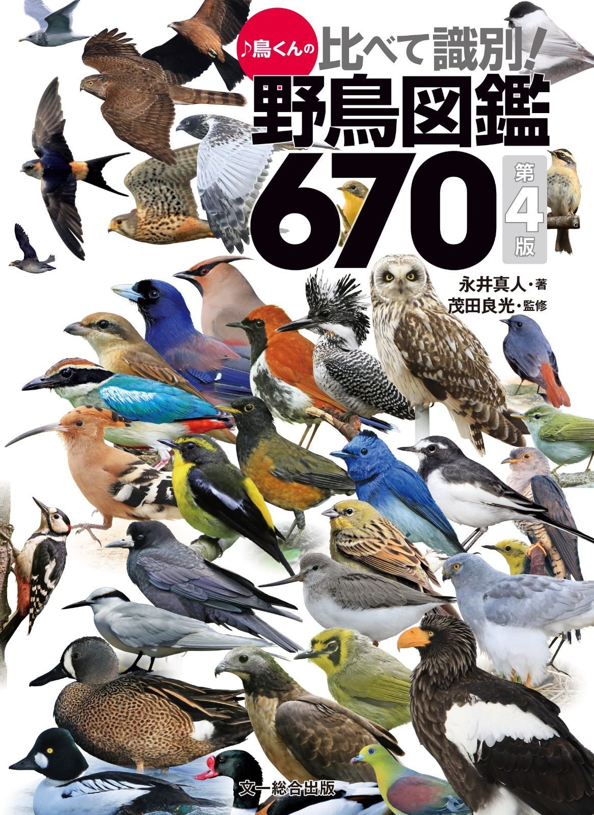 ♪鳥くんの比べて識別！野鳥図鑑670 第4版