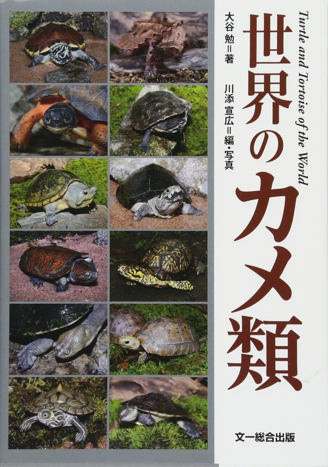 世界のカメ類 6,910円