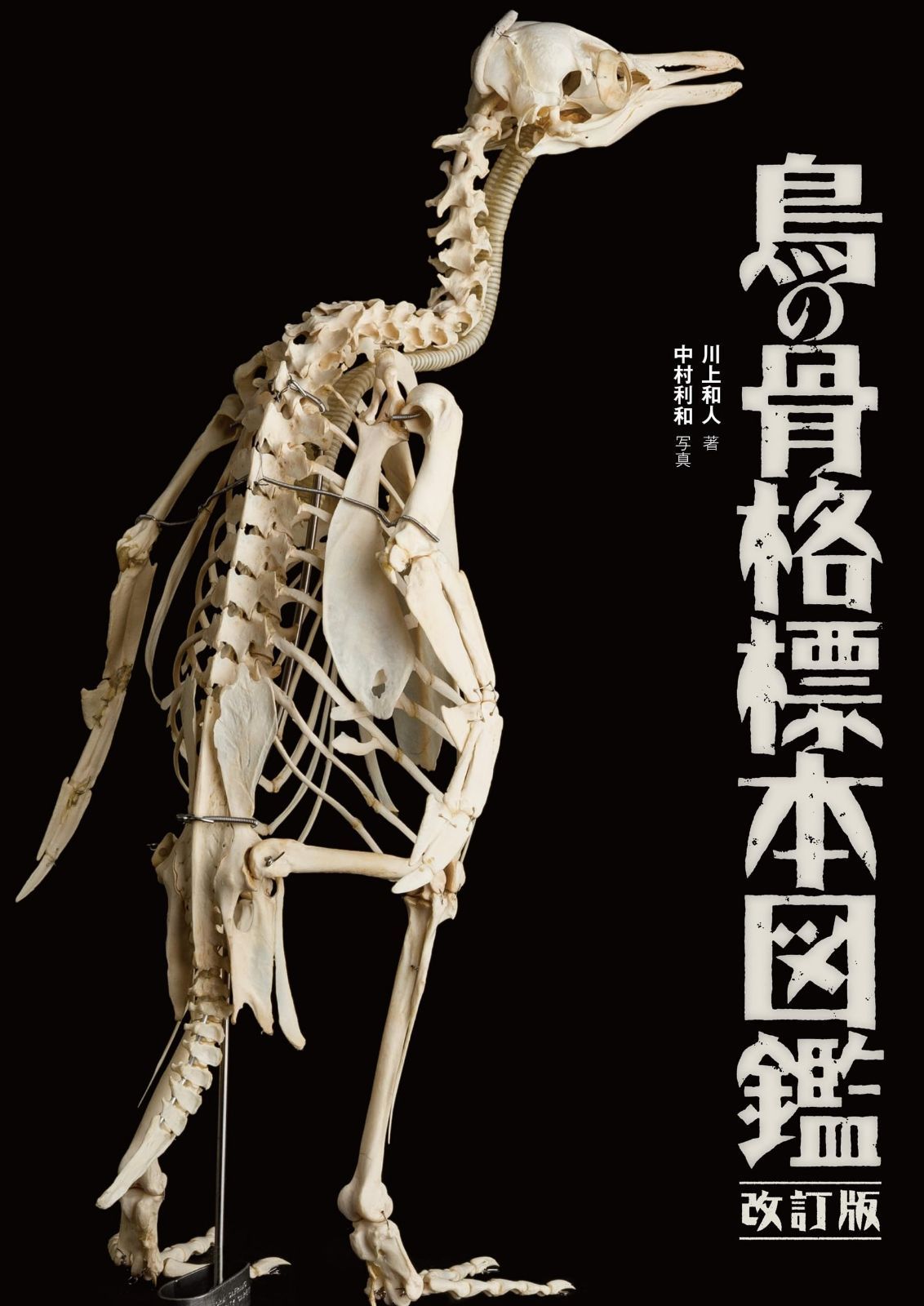 鳥の骨格標本図鑑 改訂版 (BIRDER SPECIAL) 8,338円