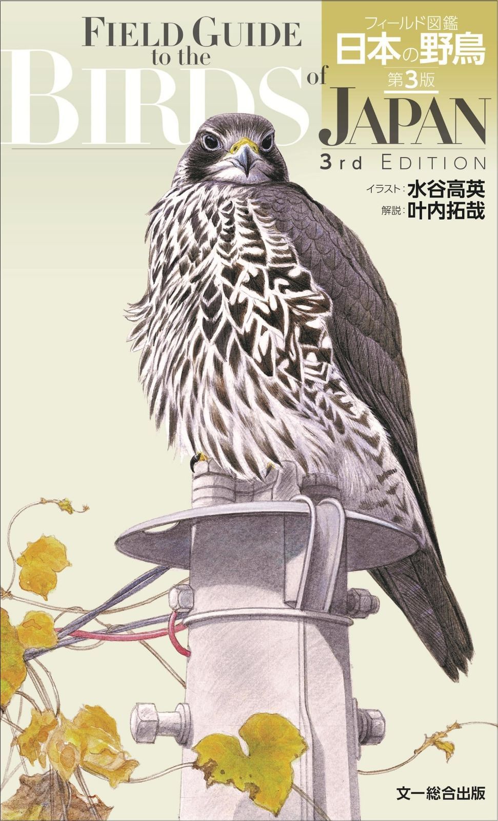 フィールド図鑑 日本の野鳥 第3版