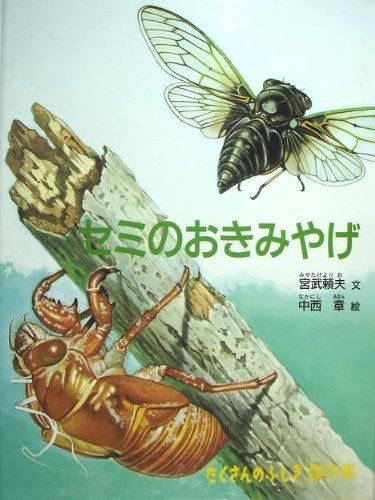セミのおきみやげ (たくさんのふしぎ傑作集)