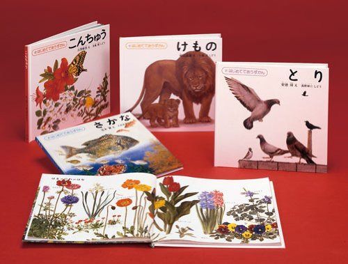 はじめてであうずかん 全5巻