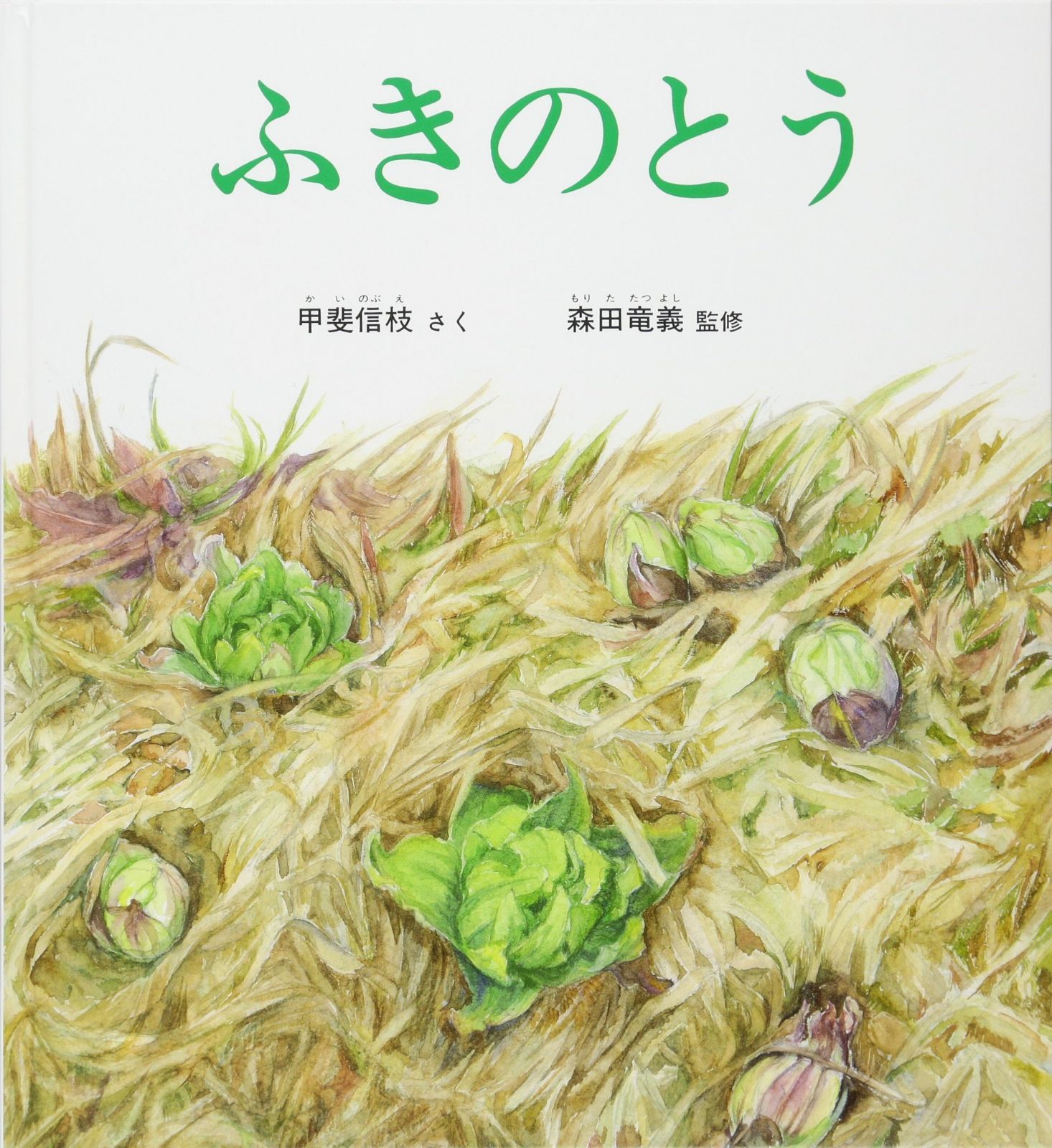 ふきのとう (かがくのとも絵本)