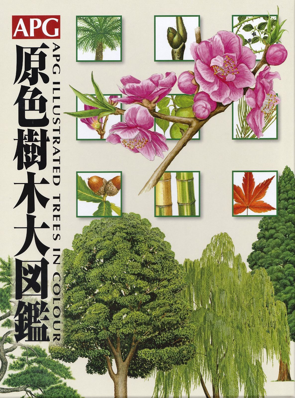 APG原色樹木大図鑑