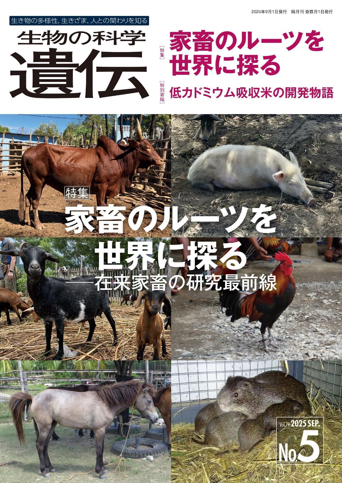生物の科学 遺伝 2025年9月発行号(Vol.79‐No.5): 家畜のルーツを世界に探る ―在来家畜の研究最前線