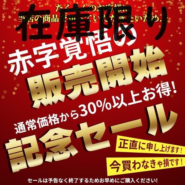 https://assets.mercari-shops-static.com/-/large/plain/2JU8RYHtZEMhK7XFsF2KRA.jpg@jpg