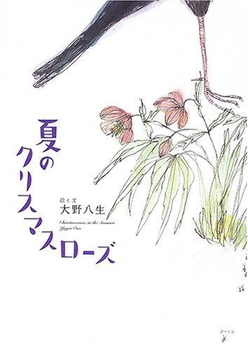 夏のクリスマスローズ