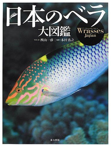 日本のベラ大図鑑