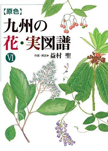 九州の花・実図譜VI: 【原色】 (VI) 6,156円