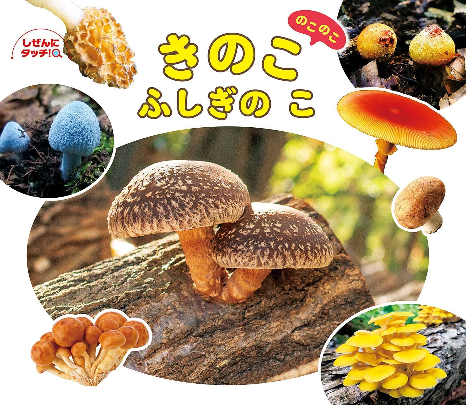 きのこのこのこふしぎのこ (しぜんにタッチ!)