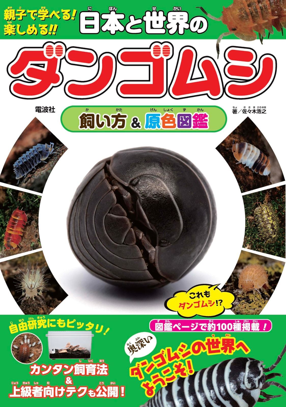 日本と世界のダンゴムシ 飼い方&原色図鑑