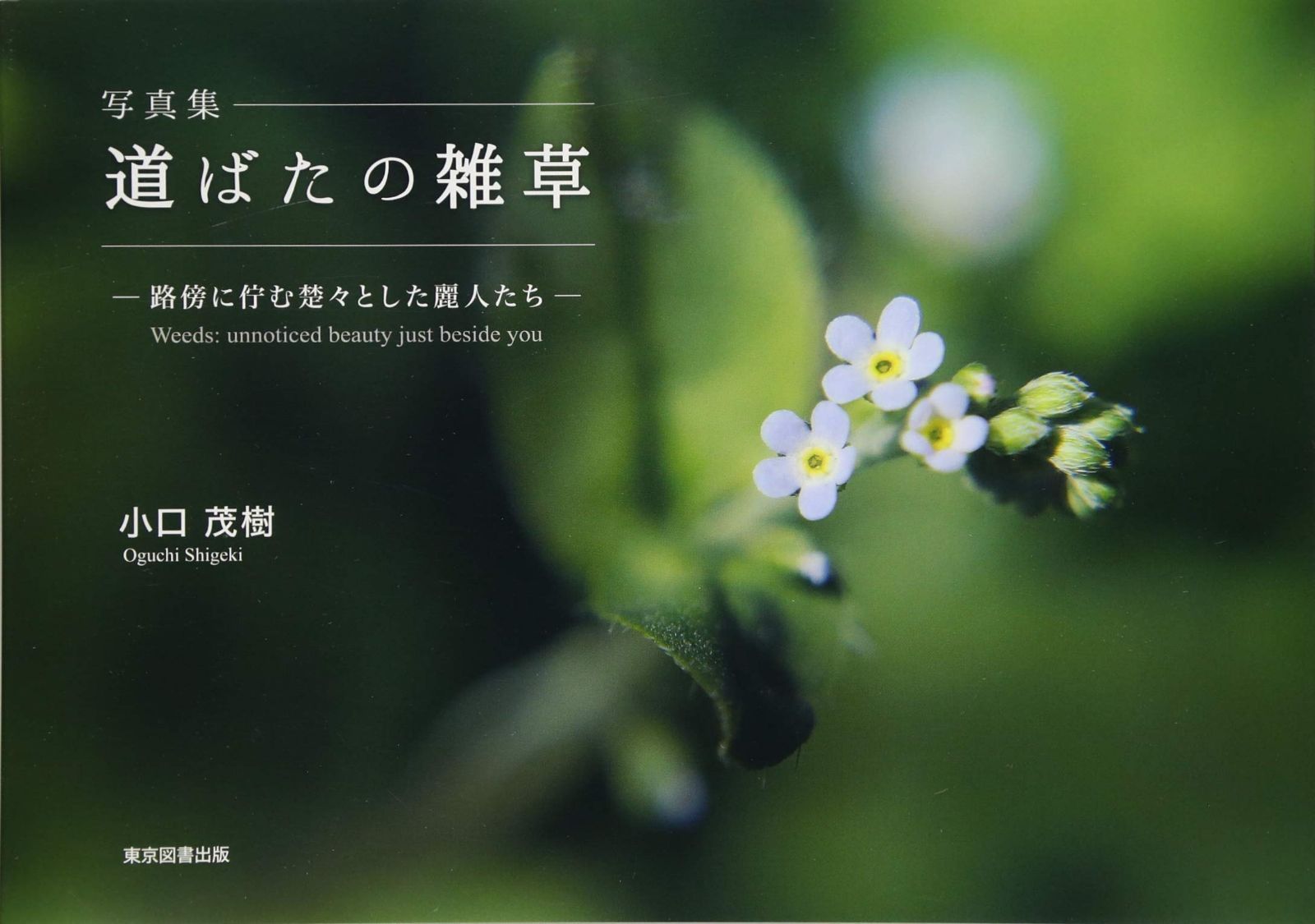 写真集 道ばたの雑草-路傍に佇む楚々とした麗人たち-