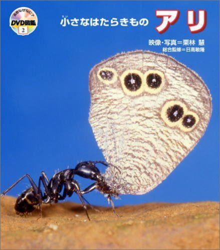 自然なぜなに?DVD図鑑2 小さなはたらきもの アリ