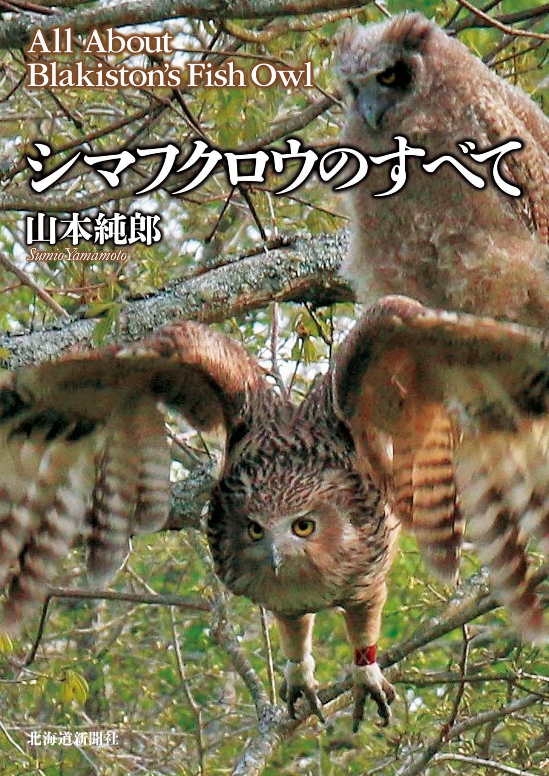 シマフクロウのすべて 8,938円