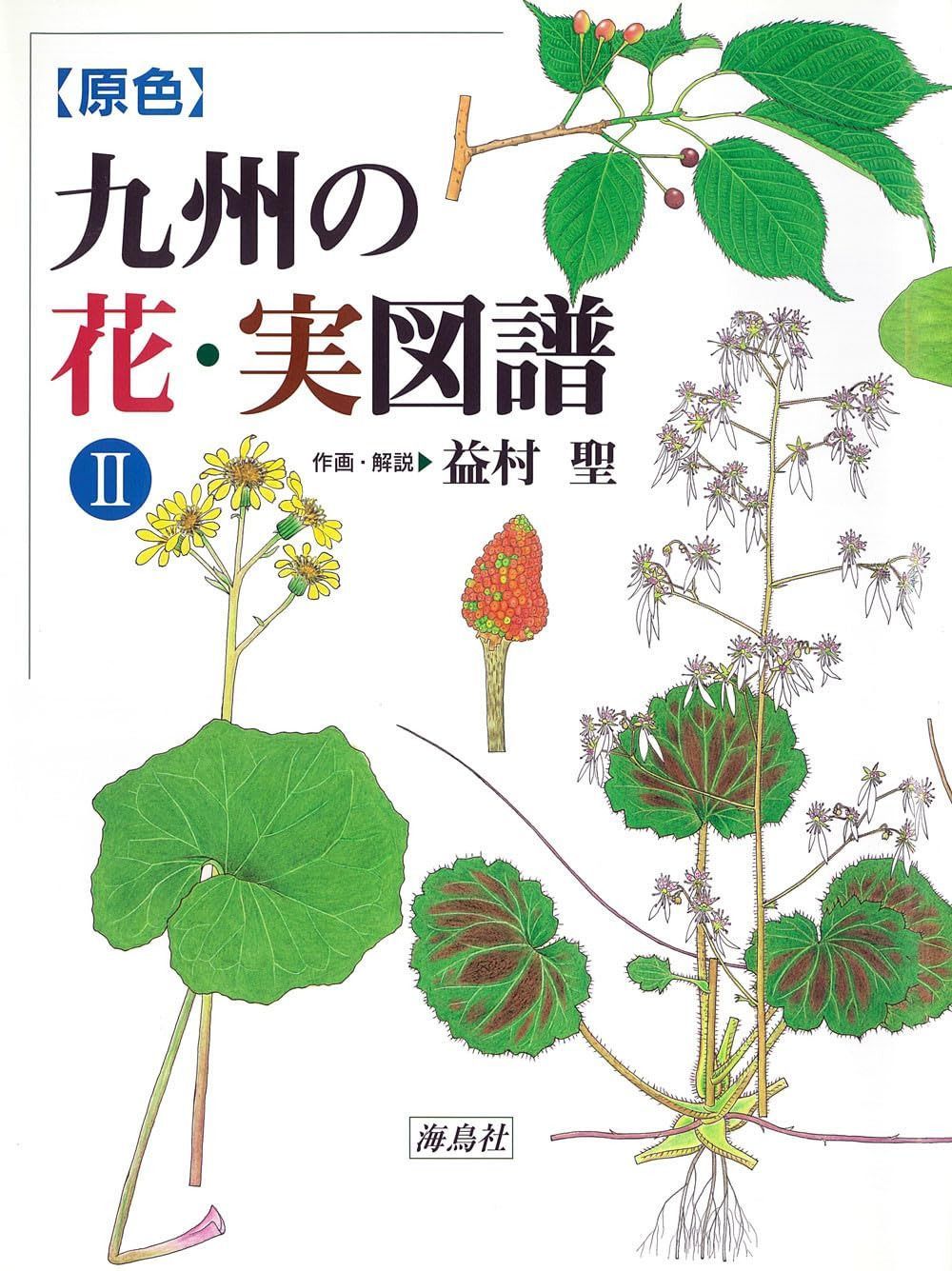 九州の花・実図譜II: 【原色】 8,444円