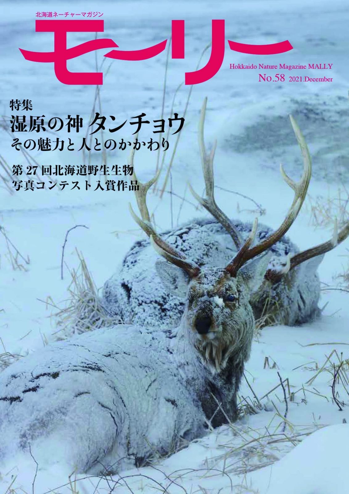 モーリー58号 湿原の神タンチョウ その魅力と人とのかかわり