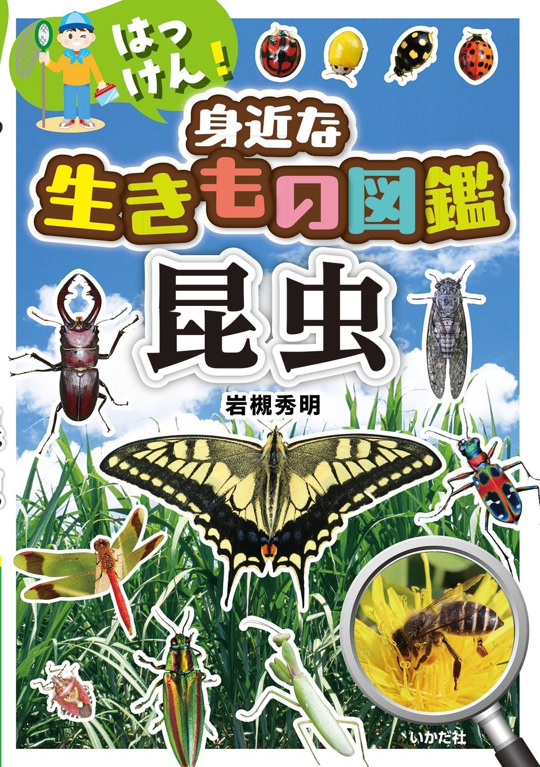 はっけん!身近な生きもの図鑑 昆虫